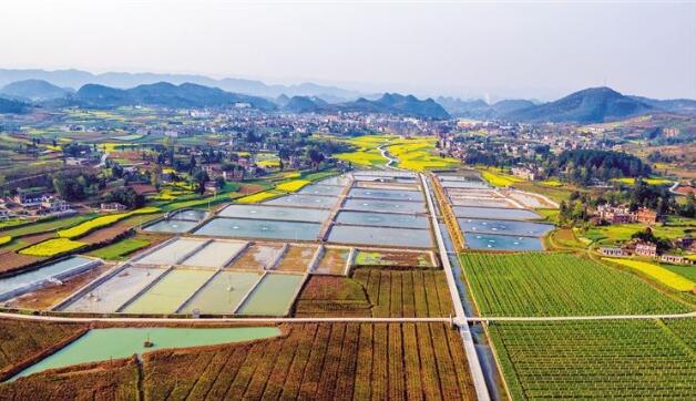 河北省政府出臺《關(guān)于做大做強農(nóng)業(yè)產(chǎn)業(yè)化龍頭企業(yè)的意見》，提出河北省農(nóng)業(yè)產(chǎn)業(yè)化發(fā)展目標