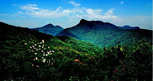 花都區(qū)出臺(tái)“白金十條”促進(jìn)旅游產(chǎn)業(yè)發(fā)展，最大一項(xiàng)政策獎(jiǎng)勵(lì)達(dá)2000萬(wàn)元???