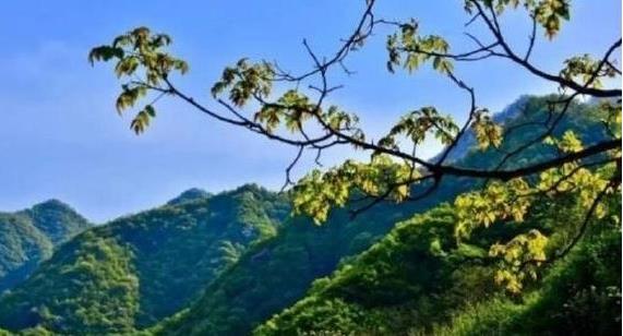 陜西省政府：印發(fā)《秦嶺生態(tài)環(huán)境保護行動方案》，持之以恒有效保護秦嶺這一國家重要生態(tài)安全屏障