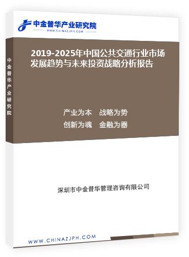 2019-2025年中國公共交通行業(yè)市場發(fā)展趨勢(shì)與未來投資戰(zhàn)略分析報(bào)告