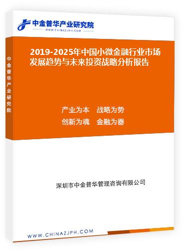 2019-2025年中國(guó)小微金融行業(yè)市場(chǎng)發(fā)展趨勢(shì)與未來(lái)投資戰(zhàn)略分析報(bào)告