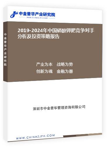 2019-2024年中國硝酸鉀肥競(jìng)爭(zhēng)對(duì)手分析及投資策略報(bào)告