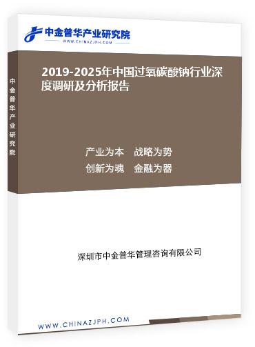 2019-2025年中國過氧碳酸鈉行業(yè)深度調(diào)研及分析報(bào)告