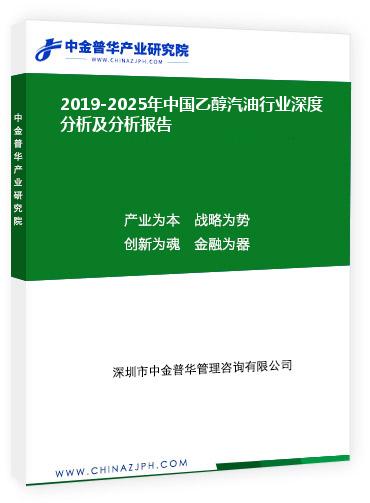 2019-2025年中國乙醇汽油行業(yè)深度分析及分析報(bào)告
