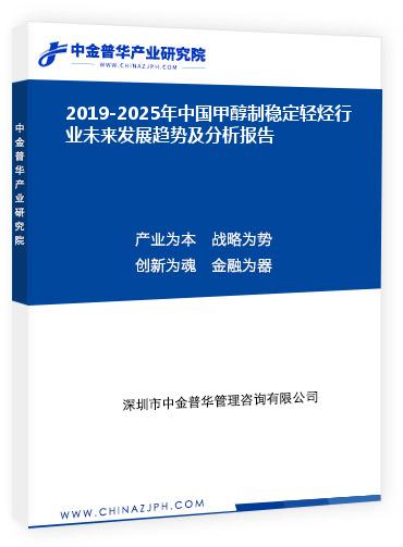 2019-2025年中國甲醇制穩(wěn)定輕烴行業(yè)未來發(fā)展趨勢及分析報(bào)告